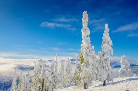 Mount Washington 