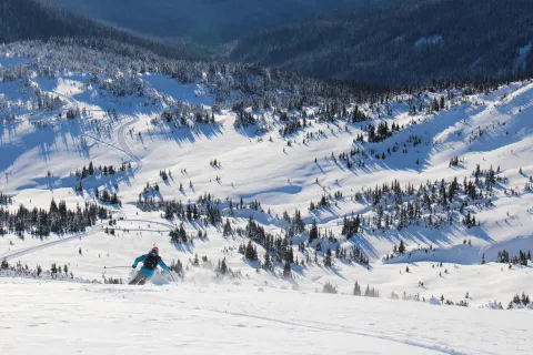 skeena cat skiing