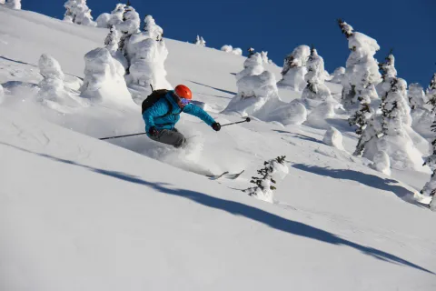 Skeena cat skiing