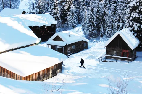 Snowshoeing in Barkerville