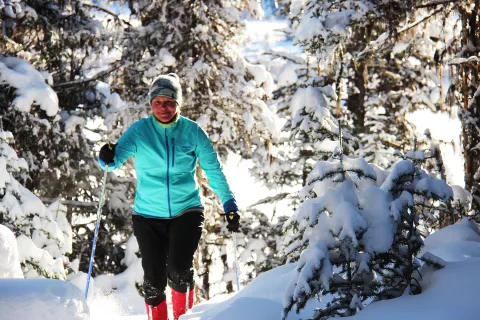 Nordic skiing in Wells