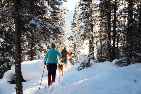 Wells Nordic Skiing at Sunset