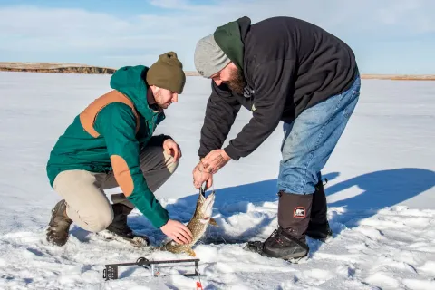 Ice fishing newell