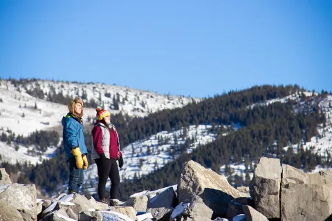 Frank Slide