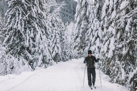 Nelson Nordic Centre