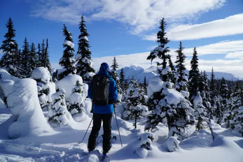 Smithers backcountry skiing