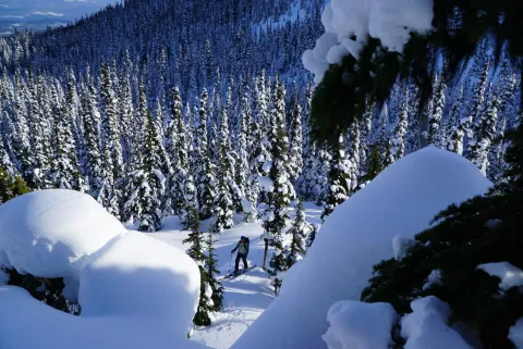 Smithers backcountry skiing