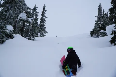 Snow at shames mountain