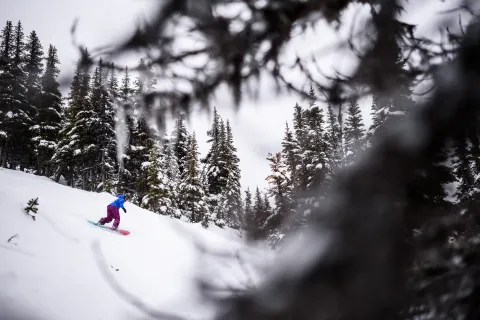 Hudson Bay Mountain 