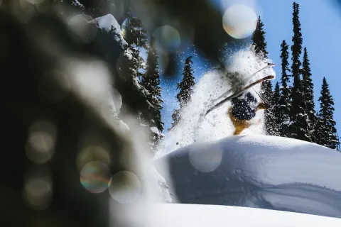 Whistler Blackcomb