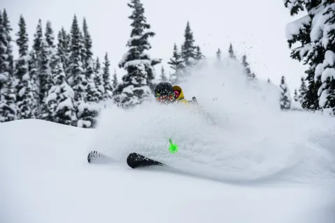 Whistler Blackcomb