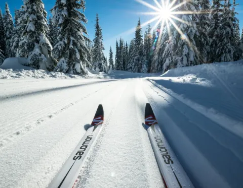 XC skiing Sun Peaks