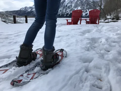 Waterton National Park