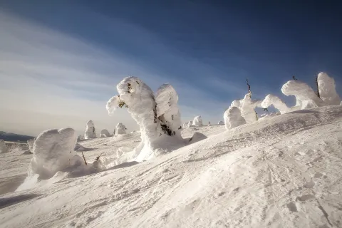 Big white snow ghost