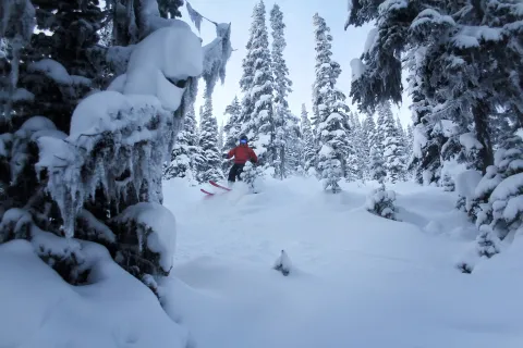 Hudson Bay Mountain 