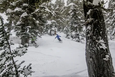 skiing in powder at shames mountain