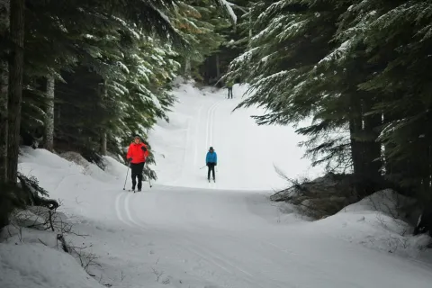 Cross country skiing Terrace