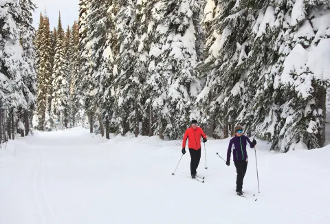 Vernon skiing