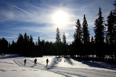 Kamloops Nordic