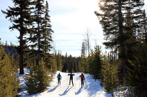 Kamloops Nordic