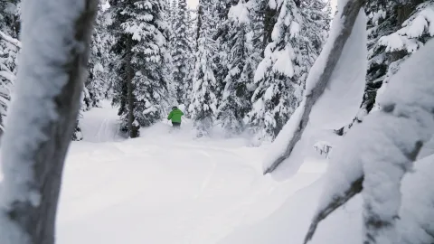 Powder King