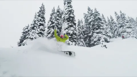 Powder King