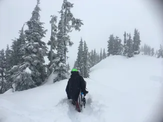 Snow at Shames Mountain 